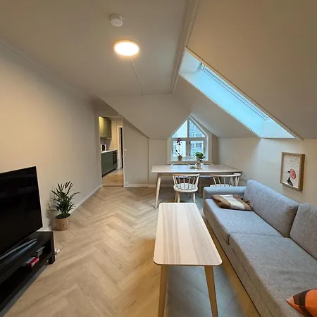 Loft With 2 Bedrooms Leilighet